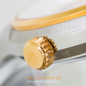 Ogival Cá Nhảy OG3356.61AGSR-T